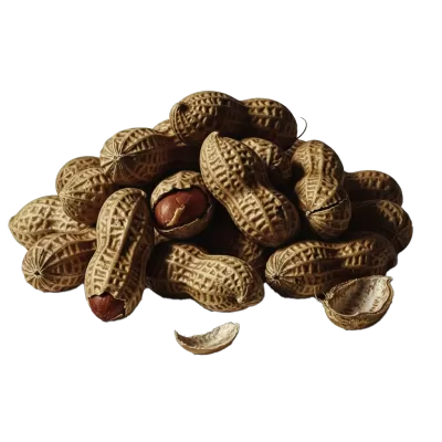 Imagen PNG para descargar